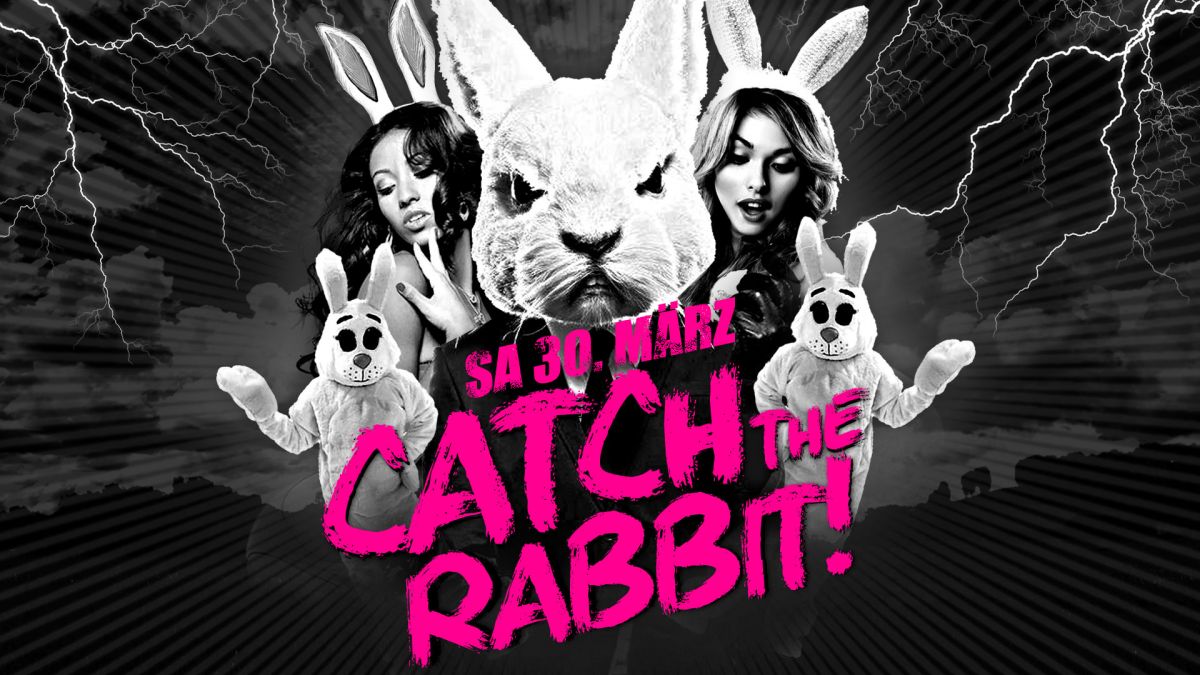 Catch The Rabbit